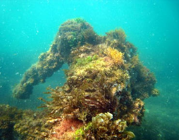 close up of the s.s. breconshire shipwreck