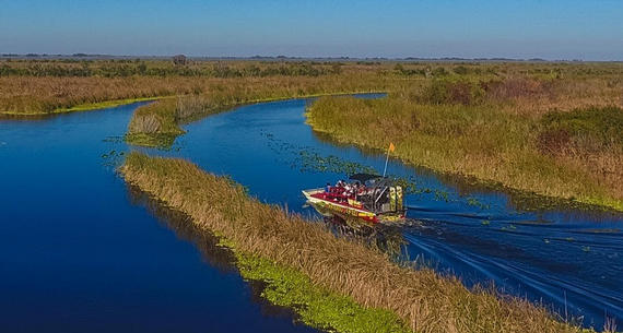 wildlife tour in the everglades