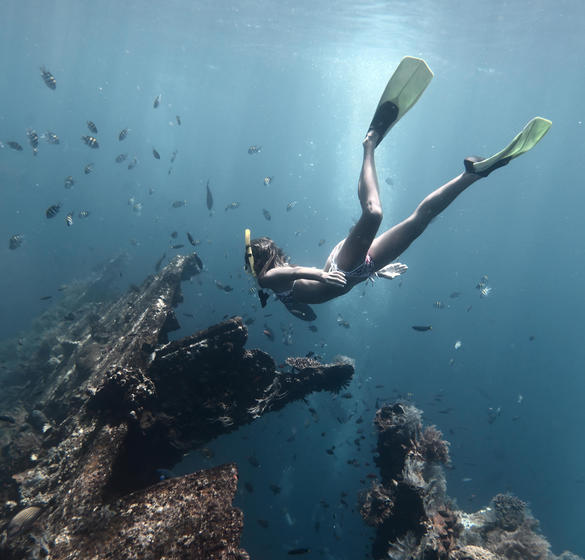 Person snorkeling in Florida