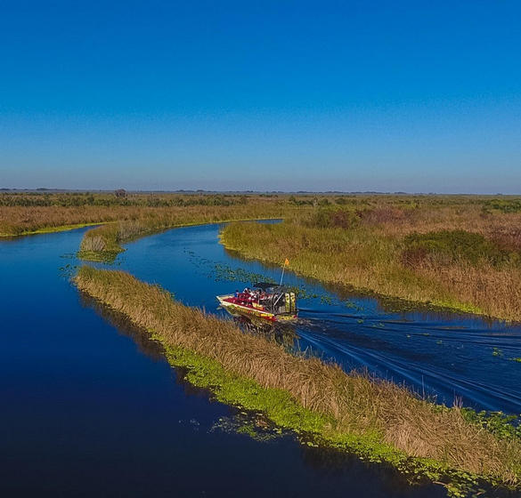 Boat tour in Florida