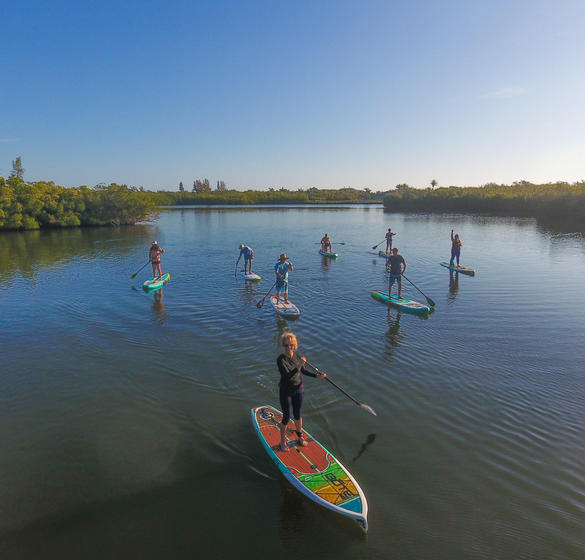 Group of people paddleboarding