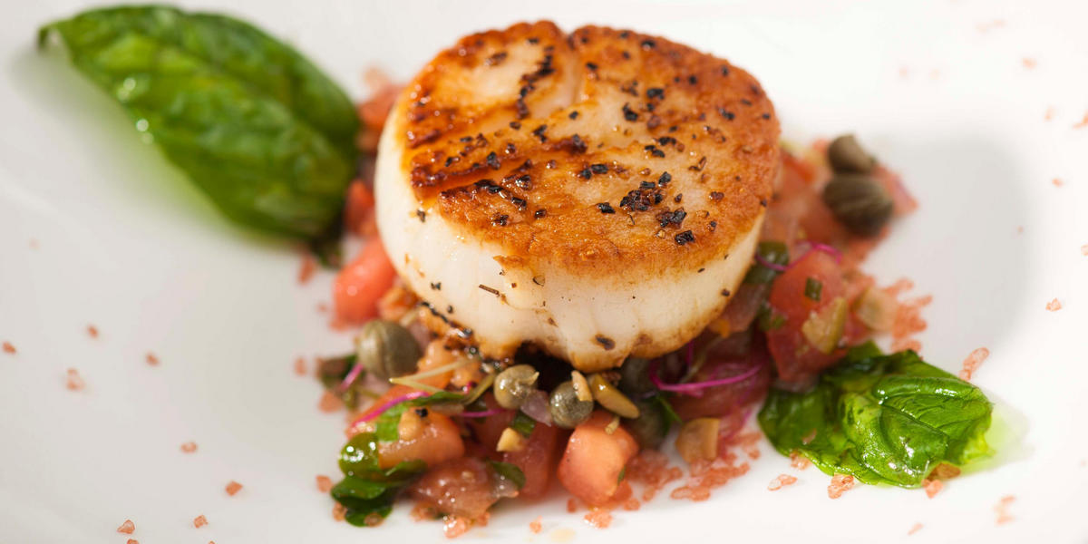 Gourmet scallop dish