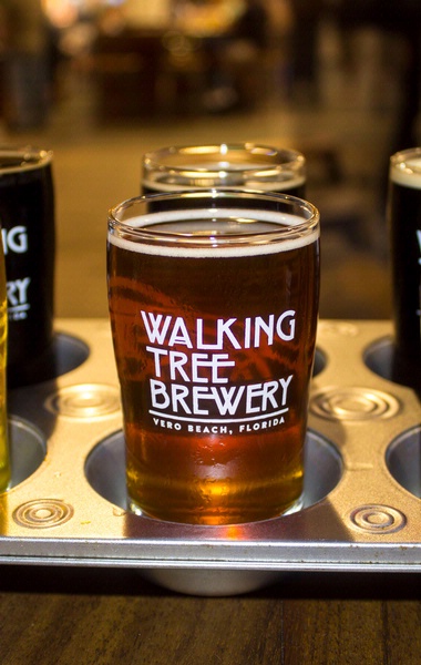 Walking Tree Brewery